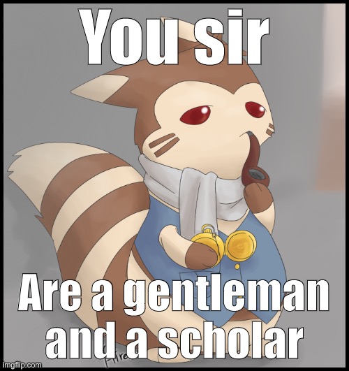 When they are a gentleman and a scholar. | You sir; Are a gentleman and a scholar | image tagged in fancy furret,custom template,new template,expanding brain extended 2,extended expanding brain,expanding brain meme | made w/ Imgflip meme maker