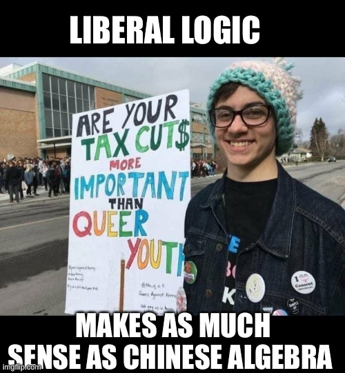 Pelosi’s Daughter Protests | LIBERAL LOGIC; MAKES AS MUCH SENSE AS CHINESE ALGEBRA | image tagged in nonsense | made w/ Imgflip meme maker