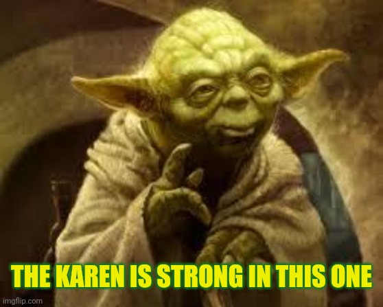 yoda | THE KAREN IS STRONG IN THIS ONE | image tagged in yoda | made w/ Imgflip meme maker