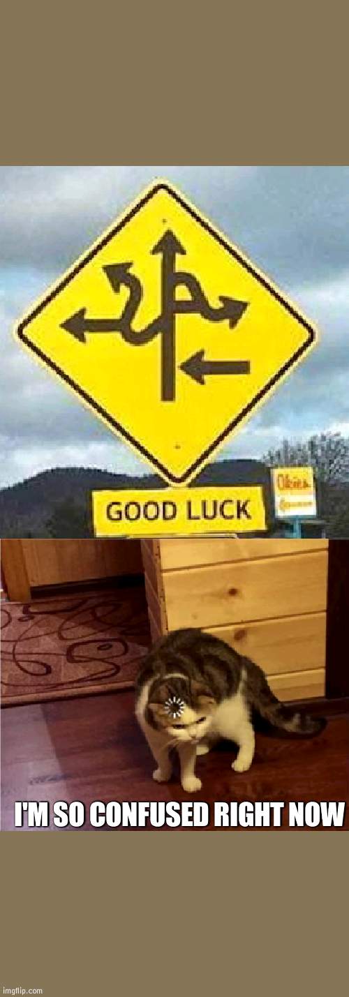 confusing sign | I'M SO CONFUSED RIGHT NOW | image tagged in loading cat hd,good luck sign | made w/ Imgflip meme maker