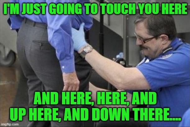 tsa security pat down | I'M JUST GOING TO TOUCH YOU HERE AND HERE, HERE, AND UP HERE, AND DOWN THERE.... | image tagged in tsa security pat down | made w/ Imgflip meme maker