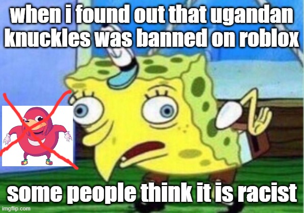 When I Found Oyut That It Was Banned Imgflip - roblox banned ugandan knuckles