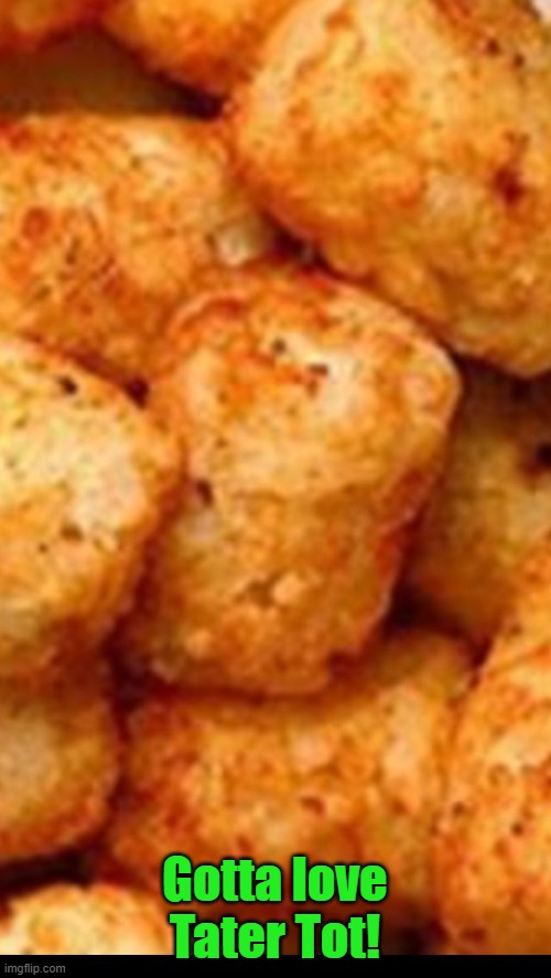 Tater tots | Gotta love Tater Tot! | image tagged in tater tots | made w/ Imgflip meme maker