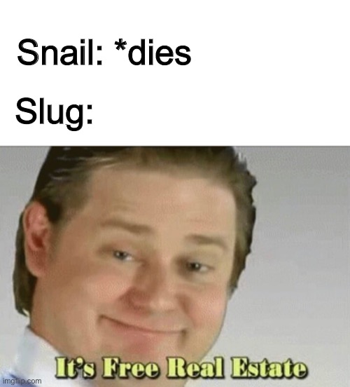 It’s free real estate | Slug:; Snail: *dies | image tagged in blank white template,it's free real estate,slug,snail,funny,memes | made w/ Imgflip meme maker