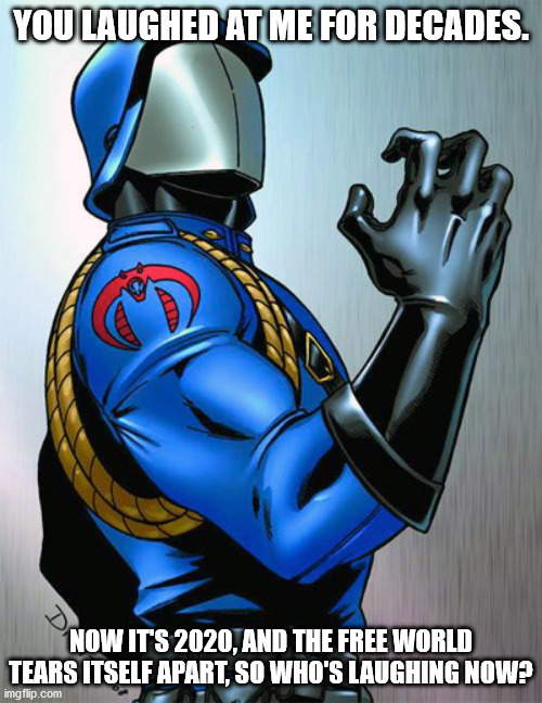 Cobra Commander's thoughts on 2020 | YOU LAUGHED AT ME FOR DECADES. NOW IT'S 2020, AND THE FREE WORLD TEARS ITSELF APART, SO WHO'S LAUGHING NOW? | image tagged in cobra commander | made w/ Imgflip meme maker