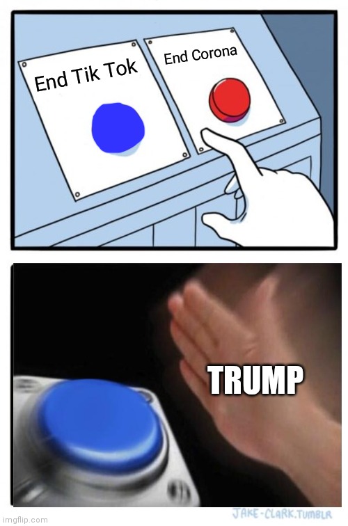 · | End Corona; End Tik Tok; TRUMP | image tagged in memes,two buttons | made w/ Imgflip meme maker