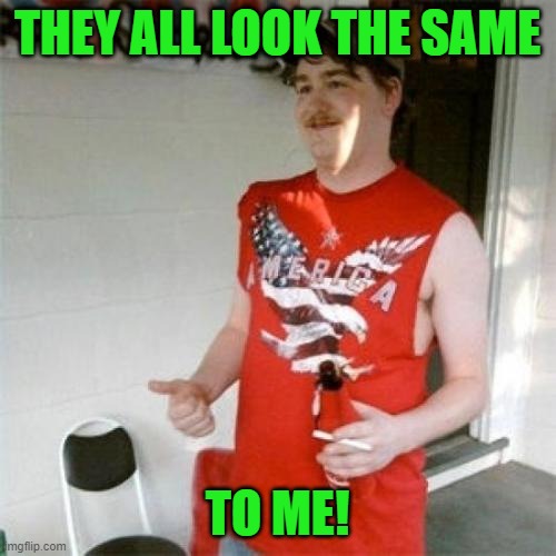 Redneck Randal Meme | THEY ALL LOOK THE SAME TO ME! | image tagged in memes,redneck randal | made w/ Imgflip meme maker