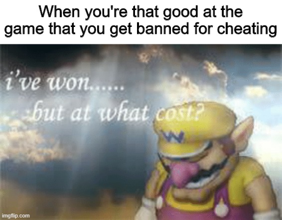 I've won but at what cost? | When you're that good at the game that you get banned for cheating | image tagged in i've won but at what cost | made w/ Imgflip meme maker