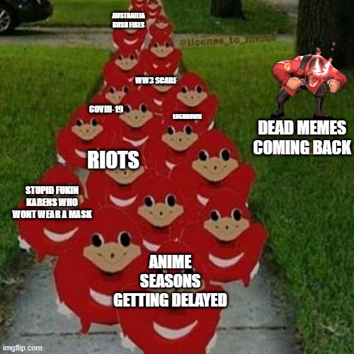 Ugandan knuckles army | AUSTRAILIA BUSH FIRES; WW3 SCARE; COVID-19; LOCKDOWN; DEAD MEMES COMING BACK; RIOTS; STUPID FUKIN KARENS WHO WONT WEAR A MASK; ANIME SEASONS GETTING DELAYED | image tagged in ugandan knuckles army,2020,critical shit | made w/ Imgflip meme maker