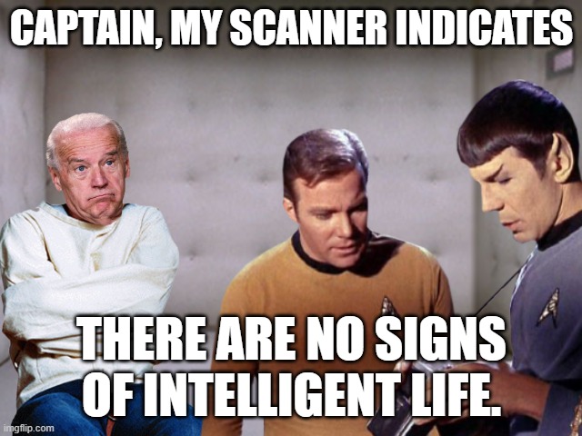 Meanwhile in Biden's basement... | CAPTAIN, MY SCANNER INDICATES; THERE ARE NO SIGNS OF INTELLIGENT LIFE. | image tagged in joe biden | made w/ Imgflip meme maker