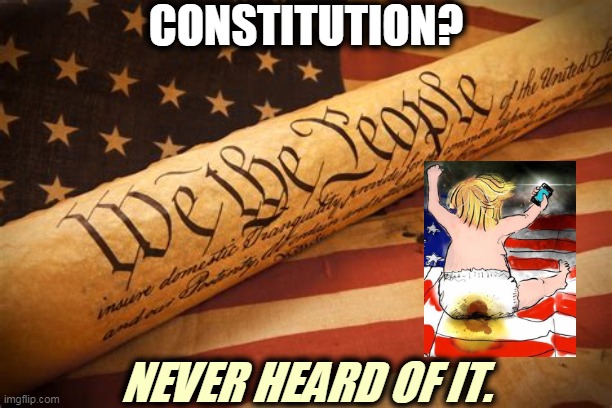 If we wanted a King, we could have skipped the American Revolution and everything since. | CONSTITUTION? NEVER HEARD OF IT. | image tagged in trump,infant,ignore,constitution | made w/ Imgflip meme maker