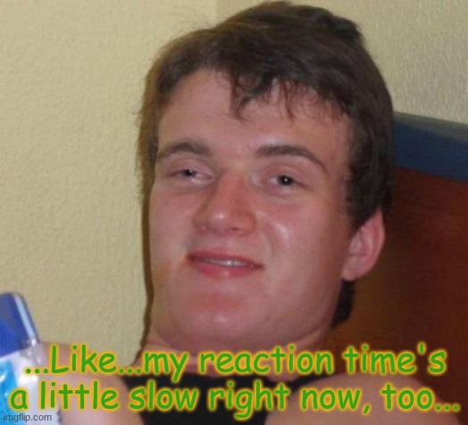 10 Guy Meme | ...Like...my reaction time's a little slow right now, too... | image tagged in memes,10 guy | made w/ Imgflip meme maker