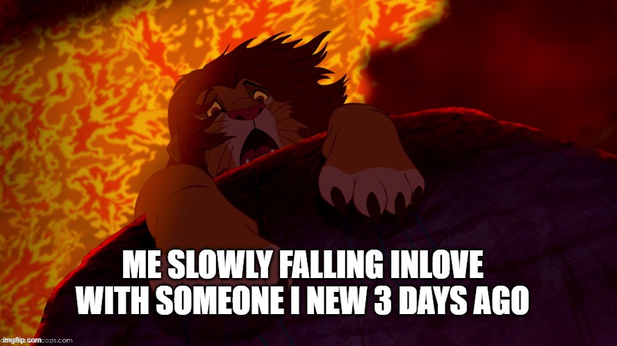 Easily inlove | ME SLOWLY FALLING INLOVE WITH SOMEONE I NEW 3 DAYS AGO | image tagged in lion king,simba | made w/ Imgflip meme maker
