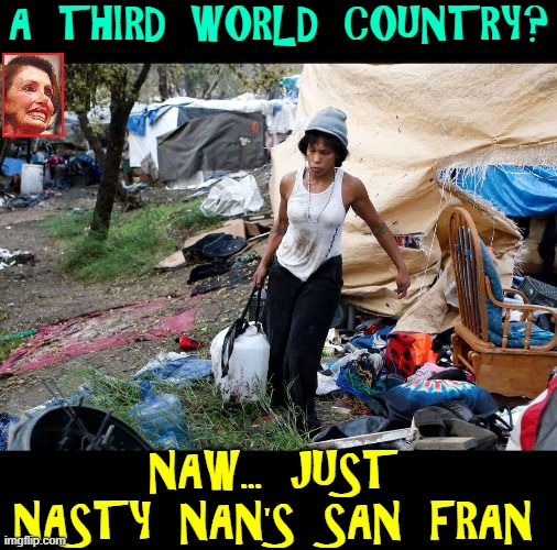 The Results When Bleeding Heart Libs Meet Do-Nothing Politicians | A THIRD WORLD COUNTRY? NAW... JUST NASTY NAN'S SAN FRAN | image tagged in vince vance,bleeding,heart,liberals,memes,homeless | made w/ Imgflip meme maker