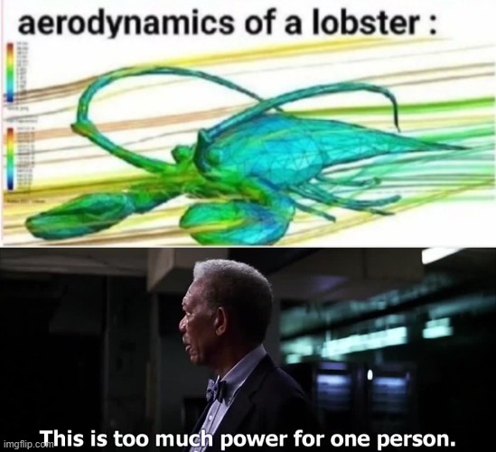 Do NOT underestimate it's power! | image tagged in aerodynamics of a lobster,memes,lobster | made w/ Imgflip meme maker
