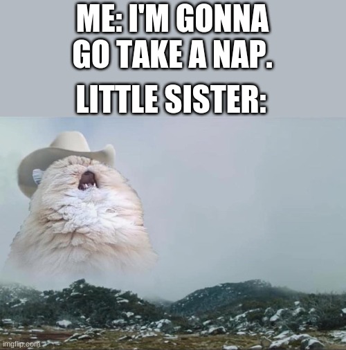 She makes as much noise as humanly possible. | ME: I'M GONNA GO TAKE A NAP. LITTLE SISTER: | image tagged in screaming cowboy cat | made w/ Imgflip meme maker