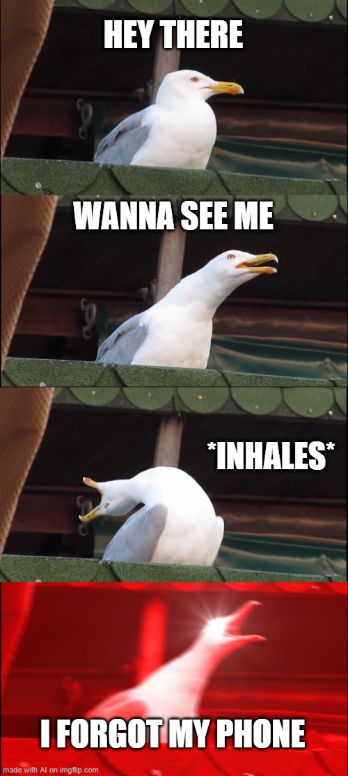 DAMMIT | HEY THERE; WANNA SEE ME; *INHALES*; I FORGOT MY PHONE | image tagged in memes,inhaling seagull | made w/ Imgflip meme maker