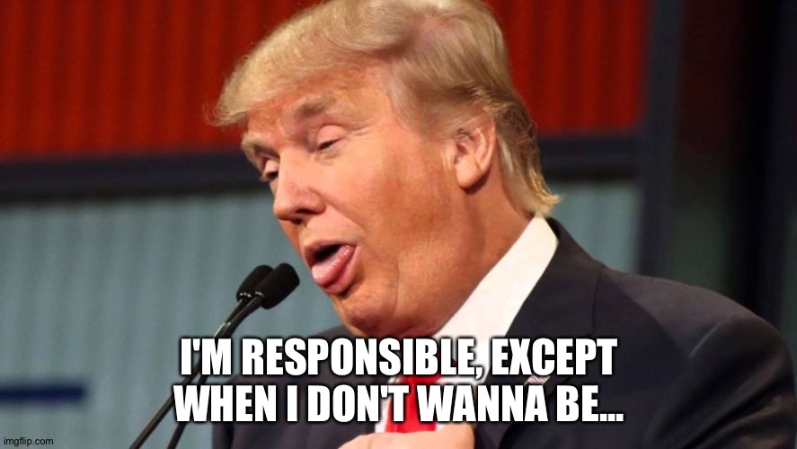 Stupid trump | I'M RESPONSIBLE, EXCEPT WHEN I DON'T WANNA BE... | image tagged in stupid trump | made w/ Imgflip meme maker