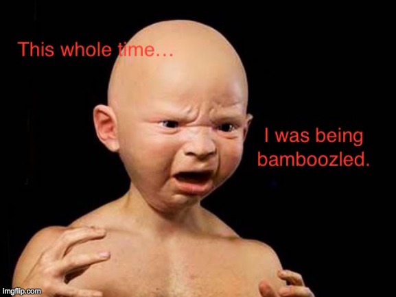 This whole time.. I was being bamboozled | image tagged in this whole time i was being bamboozled | made w/ Imgflip meme maker