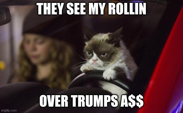 Grumpy Cat Driving | THEY SEE MY ROLLIN; OVER TRUMPS A$$ | image tagged in grumpy cat driving | made w/ Imgflip meme maker