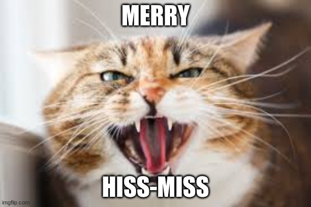 The Hissing Cat | MERRY; HISS-MISS | image tagged in the hissing cat | made w/ Imgflip meme maker