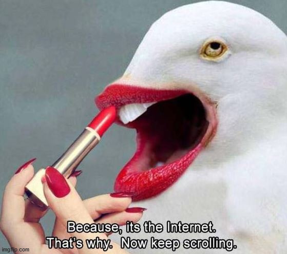 scroll on by | image tagged in repost | made w/ Imgflip meme maker