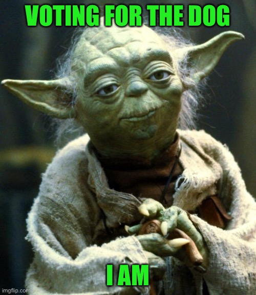 Star Wars Yoda Meme | VOTING FOR THE DOG I AM | image tagged in memes,star wars yoda | made w/ Imgflip meme maker