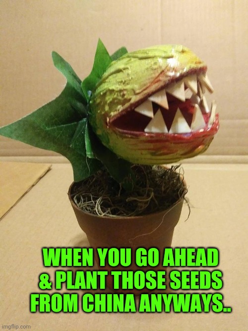 The mystery seeds from China | WHEN YOU GO AHEAD & PLANT THOSE SEEDS FROM CHINA ANYWAYS.. | image tagged in the mystery seeds from china | made w/ Imgflip meme maker