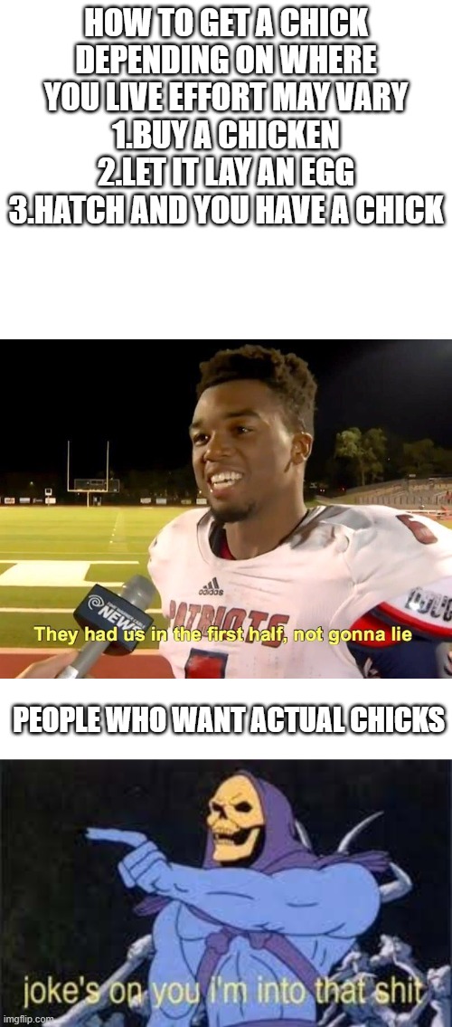 How to get a chick 101 | HOW TO GET A CHICK
DEPENDING ON WHERE YOU LIVE EFFORT MAY VARY
1.BUY A CHICKEN
2.LET IT LAY AN EGG
3.HATCH AND YOU HAVE A CHICK; PEOPLE WHO WANT ACTUAL CHICKS | image tagged in they had us in the first half,jokes on you im into that shit,memes | made w/ Imgflip meme maker