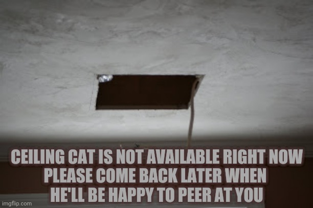 Ceiling cat is not available | CEILING CAT IS NOT AVAILABLE RIGHT NOW
PLEASE COME BACK LATER WHEN 
HE'LL BE HAPPY TO PEER AT YOU | image tagged in memes,ceiling cat,gone | made w/ Imgflip meme maker
