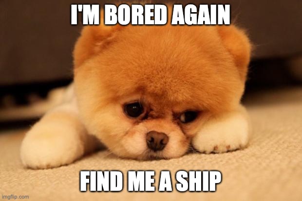 Have fun XD | I'M BORED AGAIN; FIND ME A SHIP | image tagged in sad puppy,ship,im bored,good luck | made w/ Imgflip meme maker