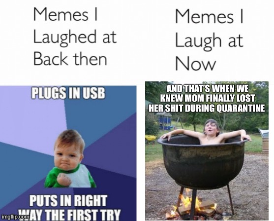 Memes Then and Now - Quarantine Mom | image tagged in memes i laughed at then vs memes i laugh at now,covid-19,coronavirus,quarantine,moms,2020 | made w/ Imgflip meme maker