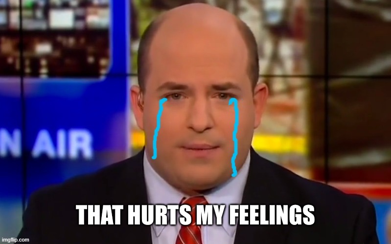 THAT HURTS MY FEELINGS | image tagged in cryin' brian stelter | made w/ Imgflip meme maker