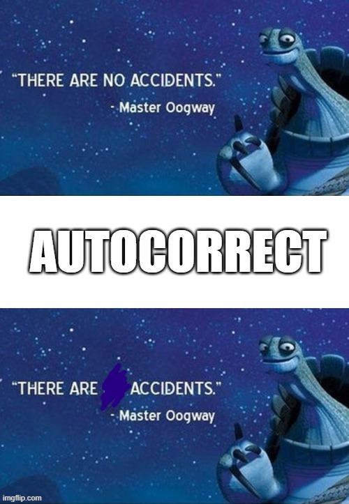 ik this isn't really a fail but yk why i posted it im guessing... | image tagged in memes,funny,there are no accidents,autocorrect,fails,kung fu panda | made w/ Imgflip meme maker
