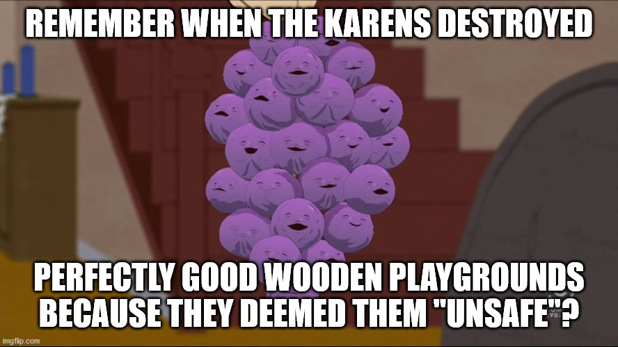Member Berries Meme | REMEMBER WHEN THE KARENS DESTROYED PERFECTLY GOOD WOODEN PLAYGROUNDS BECAUSE THEY DEEMED THEM "UNSAFE"? | image tagged in memes,member berries | made w/ Imgflip meme maker
