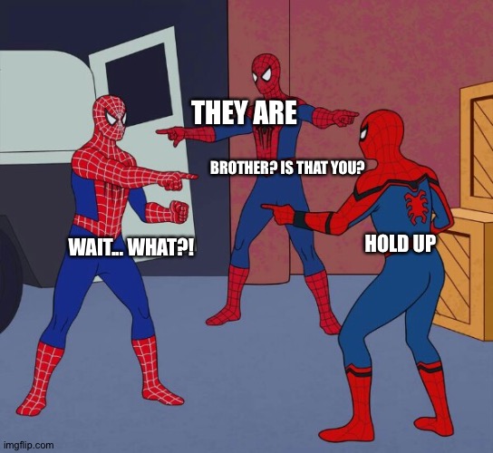 Spider Man Triple | THEY ARE WAIT... WHAT?! HOLD UP BROTHER? IS THAT YOU? | image tagged in spider man triple | made w/ Imgflip meme maker