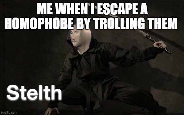 Stelth | ME WHEN I ESCAPE A HOMOPHOBE BY TROLLING THEM | image tagged in stelth | made w/ Imgflip meme maker