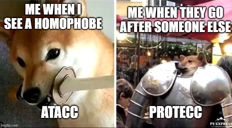 Atacc and protecc doggo |  ME WHEN THEY GO AFTER SOMEONE ELSE; ME WHEN I SEE A HOMOPHOBE; ATACC; PROTECC | image tagged in atacc and protecc doggo | made w/ Imgflip meme maker