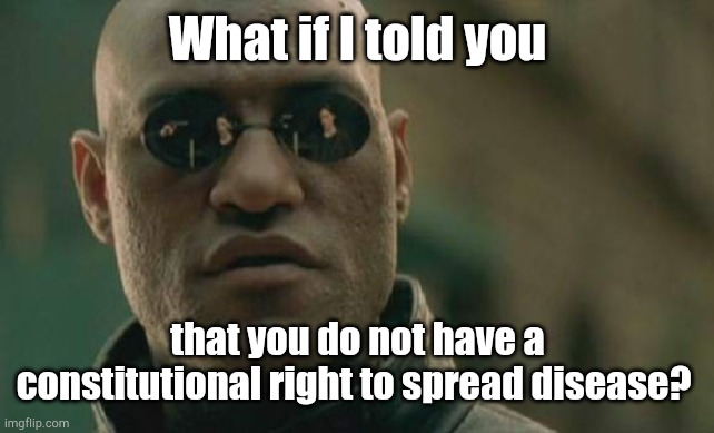 Matrix Morpheus Meme | What if I told you; that you do not have a constitutional right to spread disease? | image tagged in memes,matrix morpheus | made w/ Imgflip meme maker