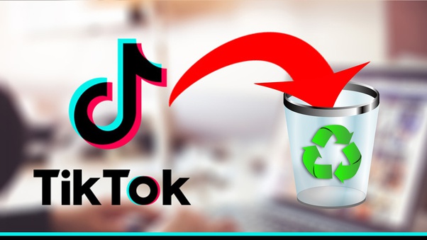 Tik tok trash Blank Meme Template