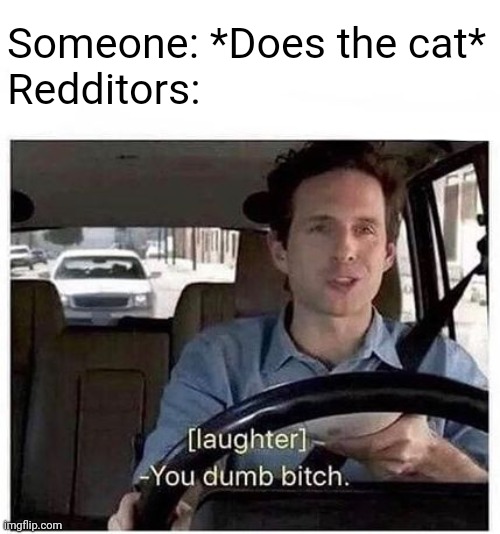 Who the cat this time? | Someone: *Does the cat*
Redditors: | image tagged in you dumb bitch,memes,reddit,dank memes | made w/ Imgflip meme maker