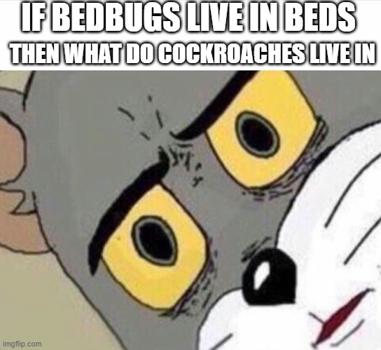 Disturbed Tom (IMPROVED) |  IF BEDBUGS LIVE IN BEDS; THEN WHAT DO COCKROACHES LIVE IN | image tagged in disturbed tom improved | made w/ Imgflip meme maker