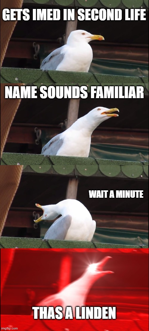 Second life IM joke | GETS IMED IN SECOND LIFE; NAME SOUNDS FAMILIAR; WAIT A MINUTE; THAS A LINDEN | image tagged in memes,inhaling seagull | made w/ Imgflip meme maker