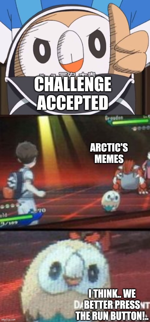 CHALLENGE ACCEPTED ARCTIC'S MEMES I THINK.. WE BETTER PRESS THE RUN BUTTON!.. | image tagged in rowlet approved,rowlet asks a question | made w/ Imgflip meme maker