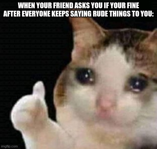 im fine ;-; | WHEN YOUR FRIEND ASKS YOU IF YOUR FINE AFTER EVERYONE KEEPS SAYING RUDE THINGS TO YOU: | image tagged in sad thumbs up cat | made w/ Imgflip meme maker