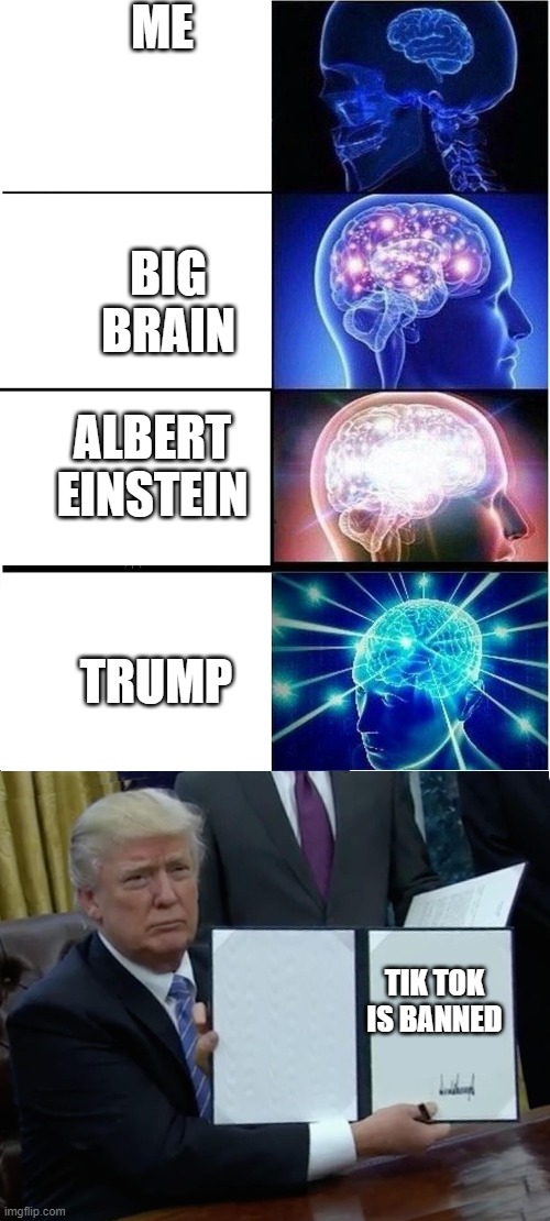 TRUMPY BOY | ME; BIG BRAIN; ALBERT EINSTEIN; TRUMP; TIK TOK IS BANNED | image tagged in memes,trump bill signing,expanding brain | made w/ Imgflip meme maker