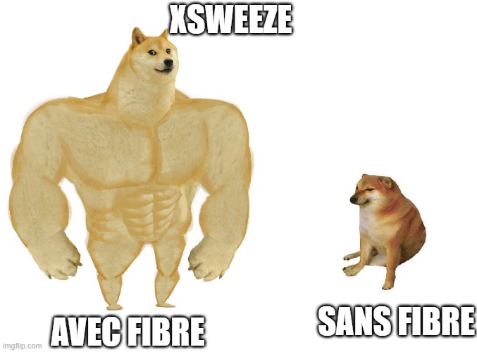 Xsweeze | XSWEEZE; SANS FIBRE; AVEC FIBRE | image tagged in big dog small dog | made w/ Imgflip meme maker