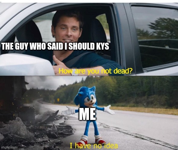 sonic how are you not dead | THE GUY WHO SAID I SHOULD KYS; ME | image tagged in sonic how are you not dead | made w/ Imgflip meme maker