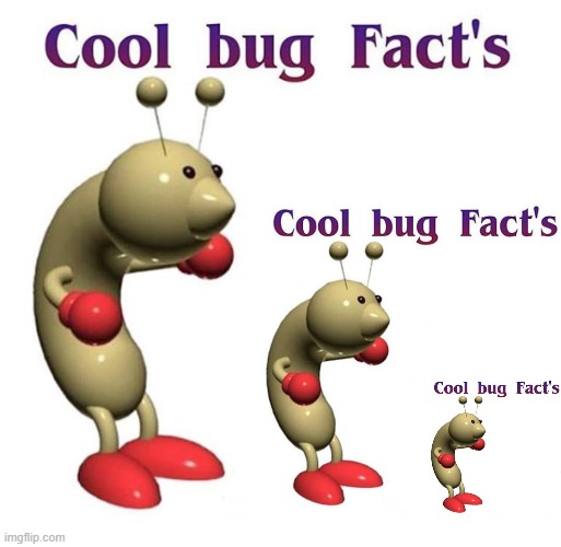 cool bug factception | image tagged in cool,cool bug facts | made w/ Imgflip meme maker