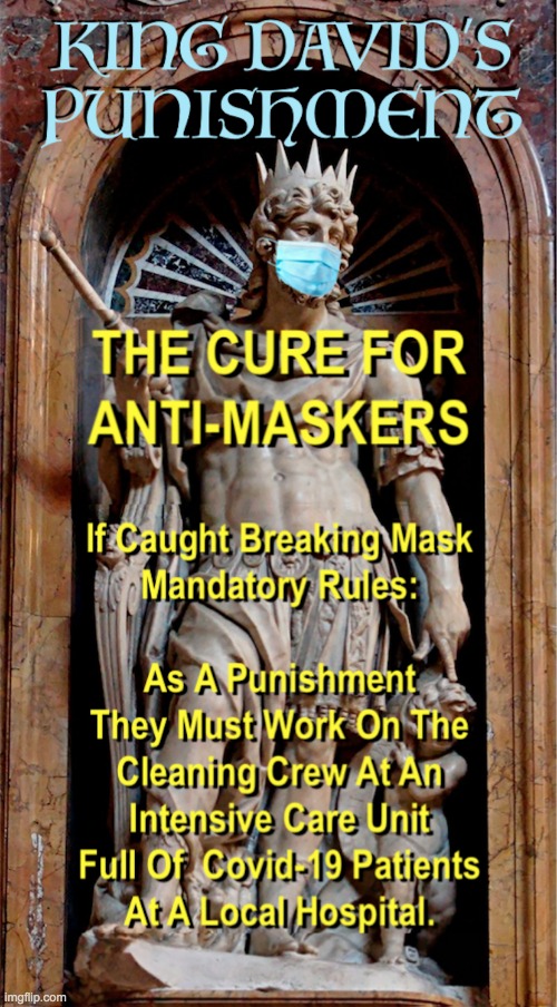 King David's Punishment for Anti-Maskers | image tagged in king david's punishment for anti-maskers | made w/ Imgflip meme maker